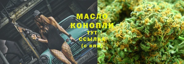 сатива Волоколамск