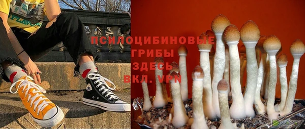 ПСИЛОЦИБИНОВЫЕ ГРИБЫ Володарск
