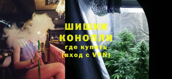 Альфа ПВП Верея