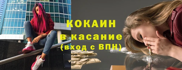 сатива Волоколамск